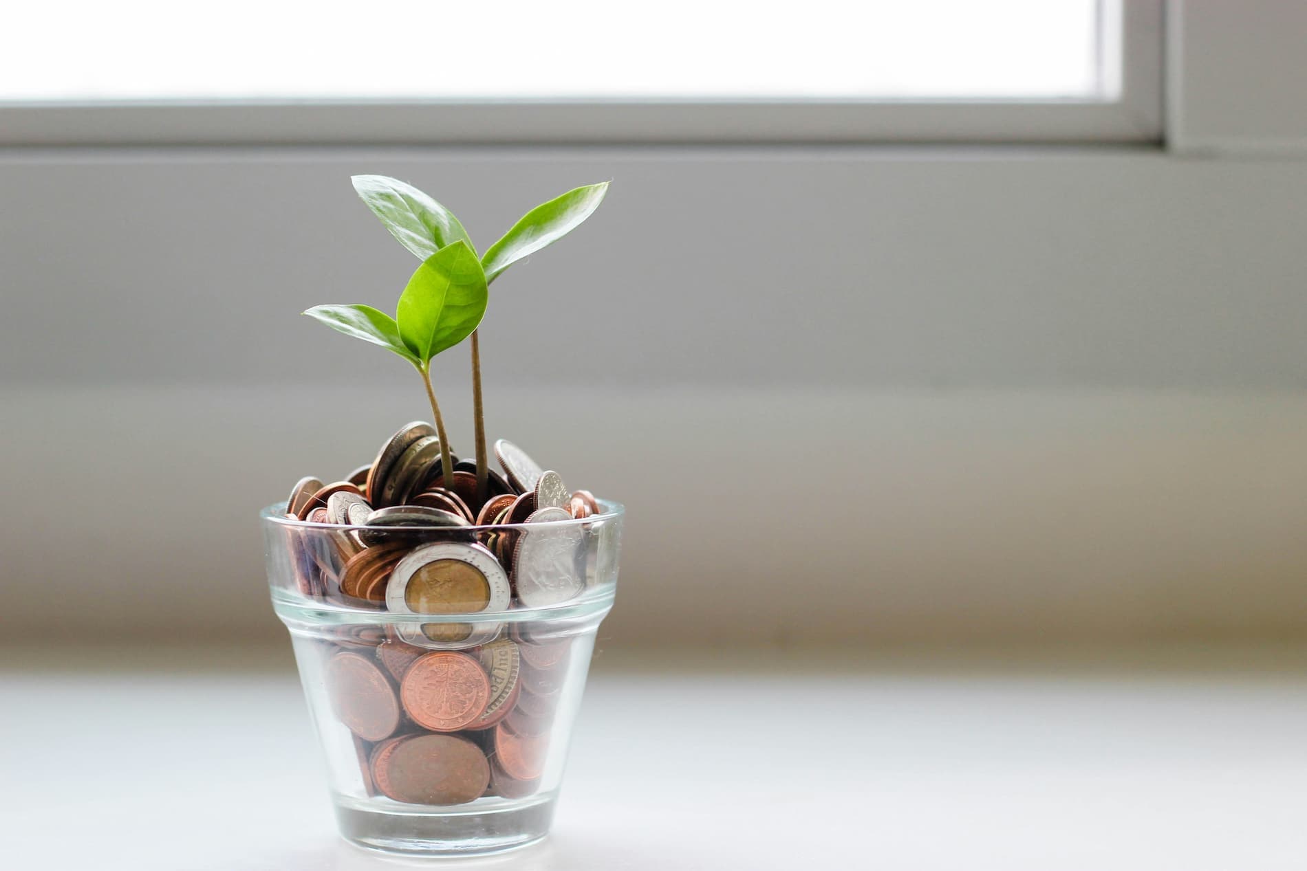 Planifier ses repas : comment maîtriser son budget courses