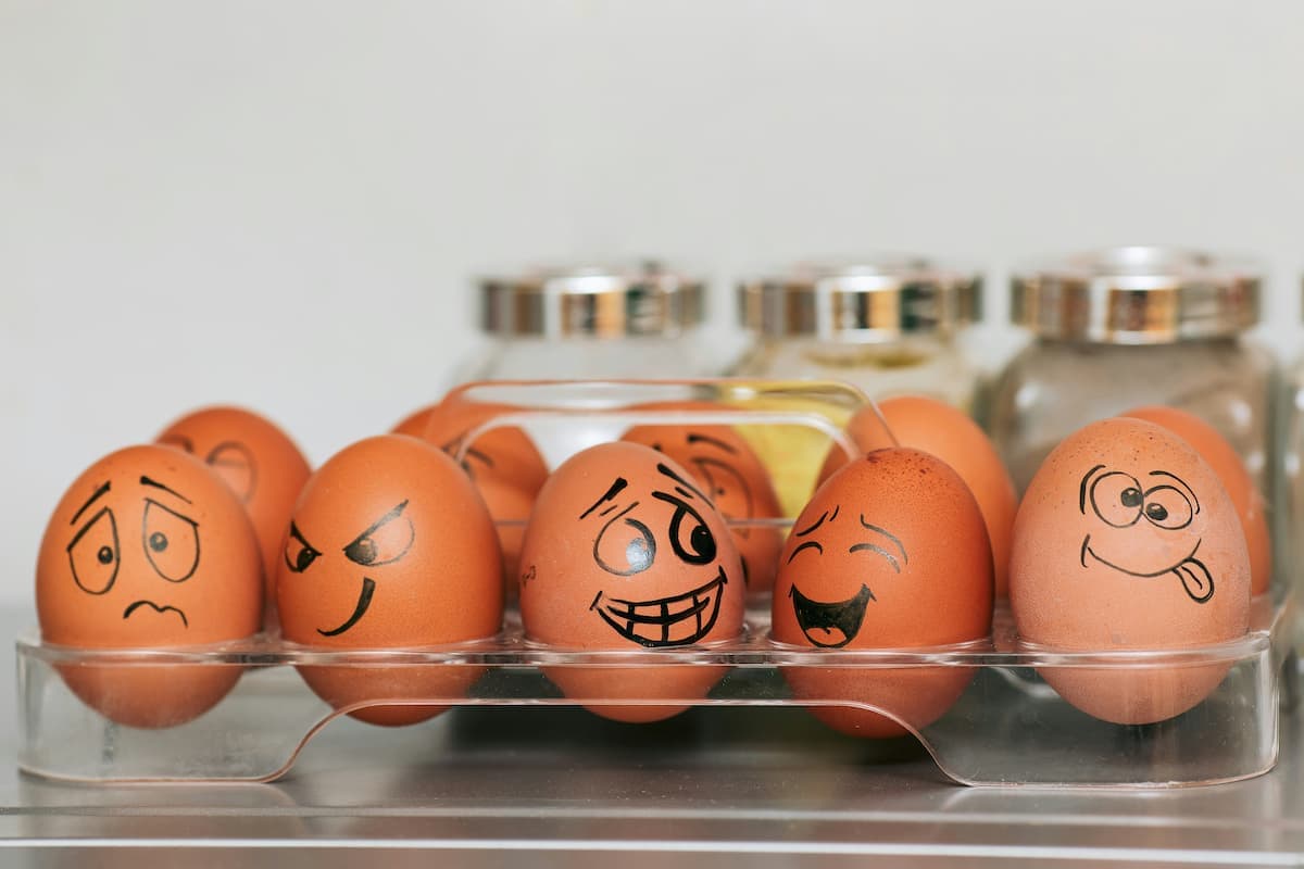 Planning repas régimes différents : la méthode de la base commune (2026)
